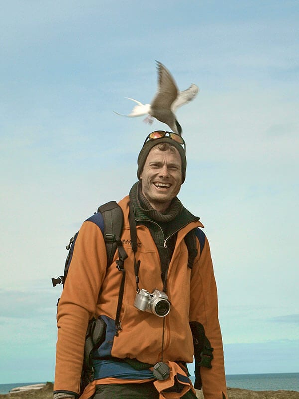 Heiko Gärtner: Vogelangriff
