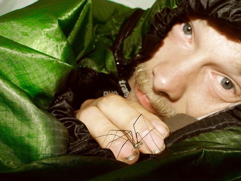 Heiko Gärtner: Schlafplatz mit Spinne