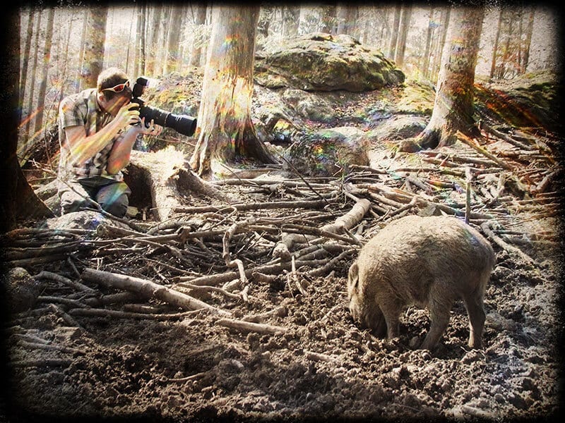 Wildtierfotograf Heiko Gärtner mit einem Wildschwein