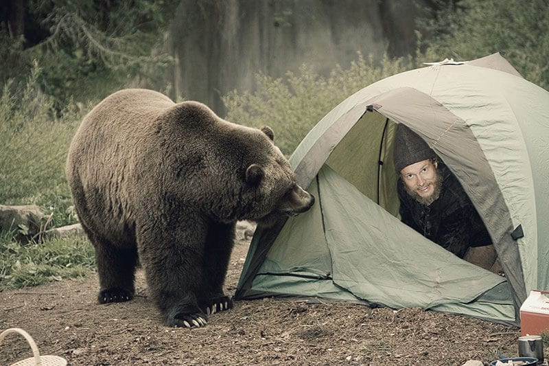 Ein Bär Besucht Heiko Gärtner in seinem Zelt
